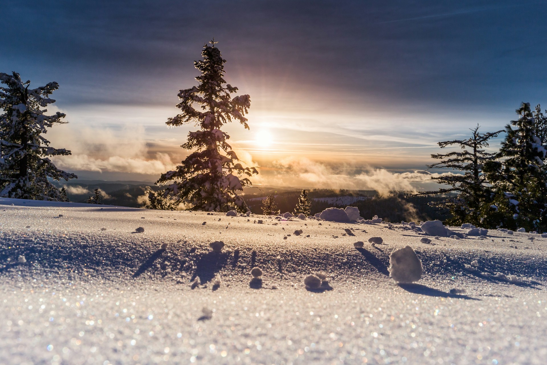 Snow-covered mountain landscape at sunrise with evergreen trees silhouetted against golden light breaking through clouds, sparkling snow crystals visible in the foreground